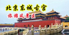 操逼艹内射视频中国北京-东城古宫旅游风景区